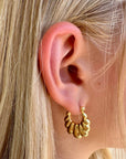 Honey Croissant Hoop Earrings
