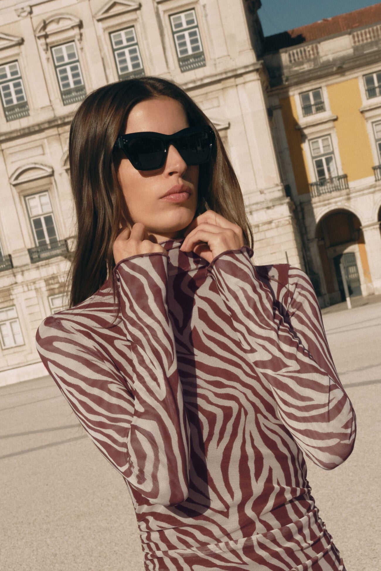 Sevilla Zebra Mesh Midi Dress