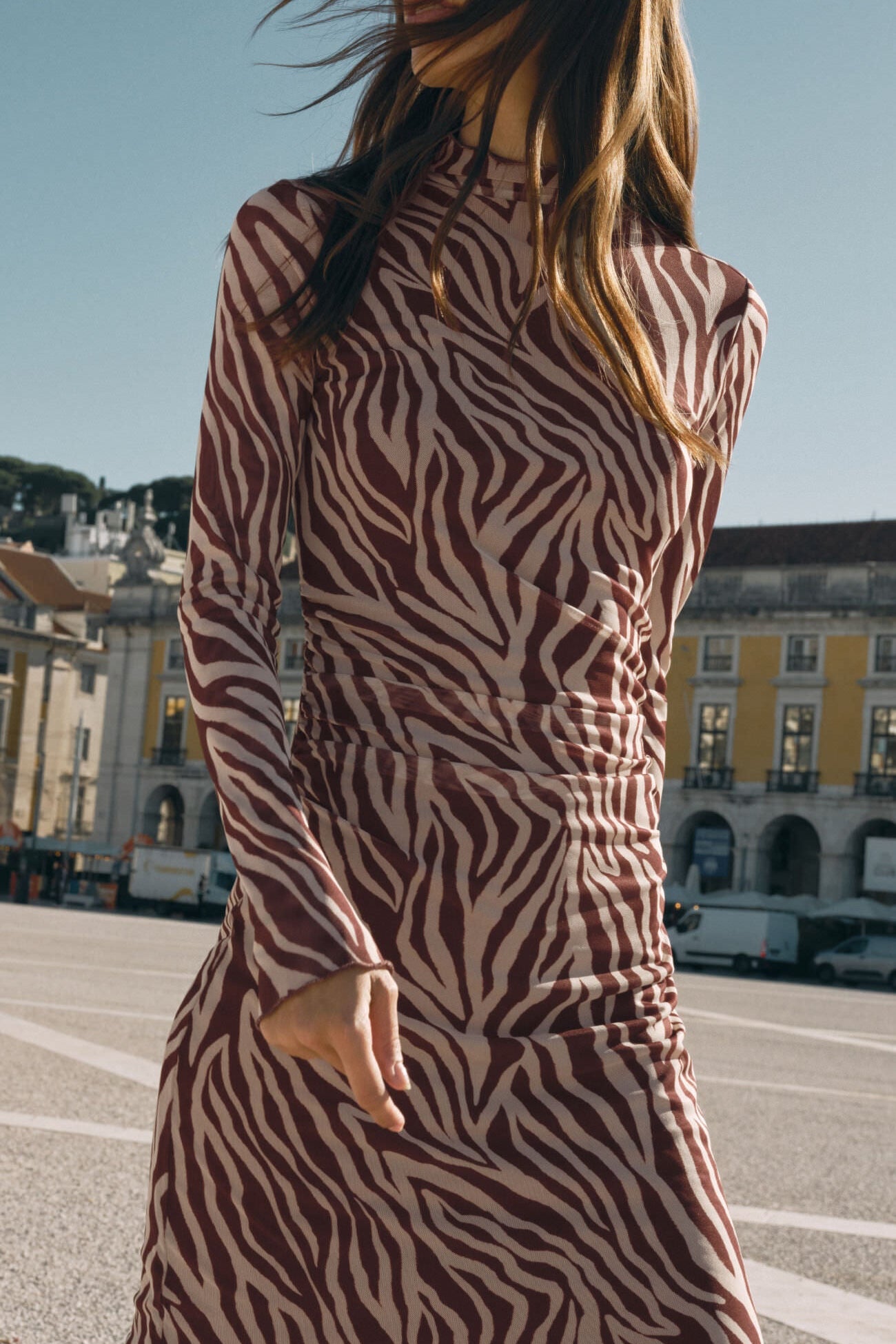 Sevilla Zebra Mesh Midi Dress