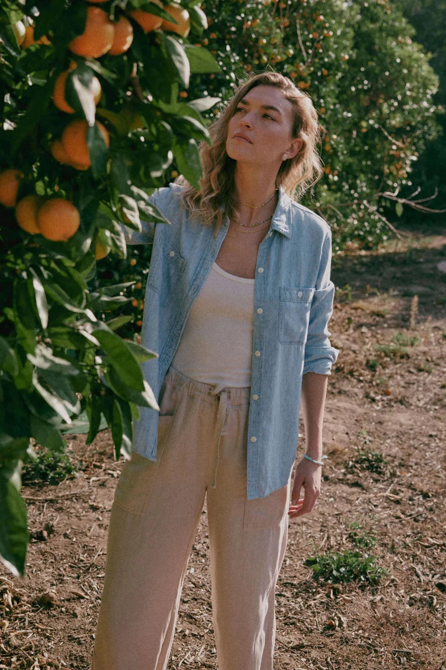 Woman standing in an orchard with orange trees