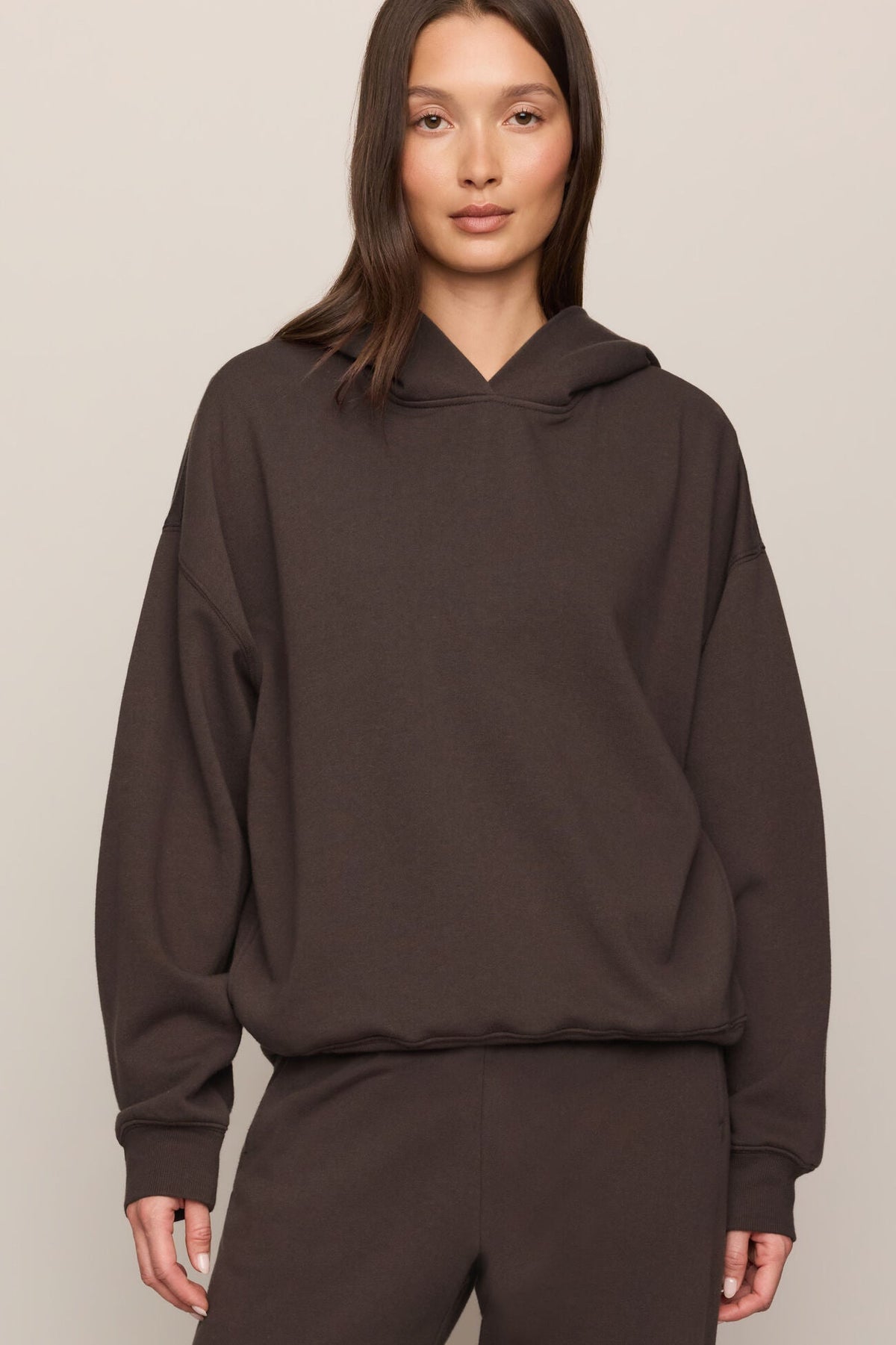 First Quarter Hoodie by Z Supply in Cocoa Bean