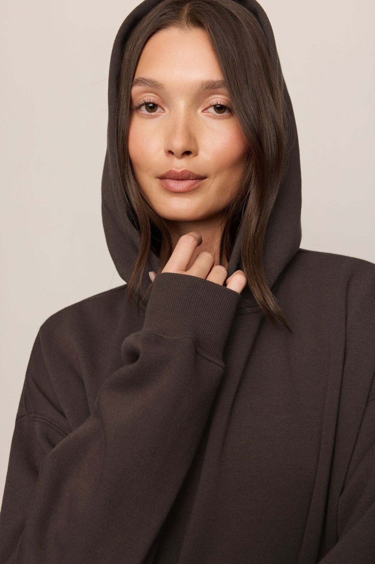First Quarter Hoodie by Z Supply in Cocoa Bean